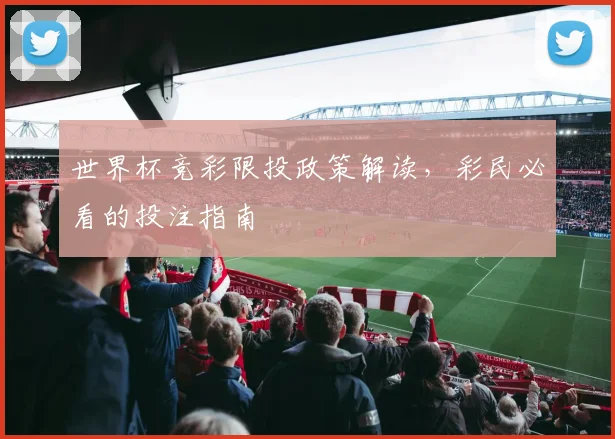 世界杯竞彩限投政策解读,彩民必看的投注指南