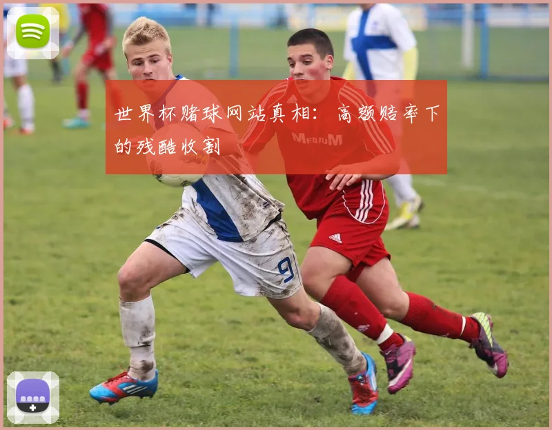 世界杯赌球网站真相：高额赔率下的残酷收割