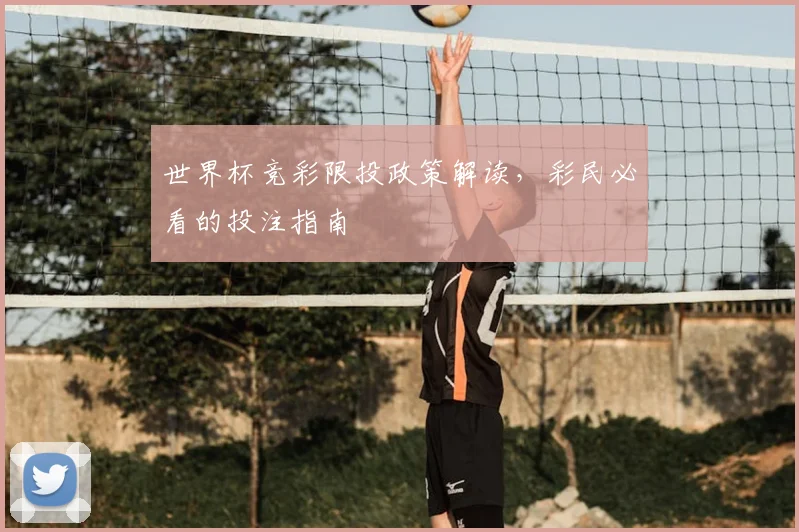 世界杯竞彩限投政策解读，彩民必看的投注指南
