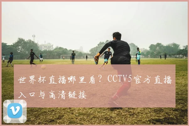 世界杯直播哪里看？CCTV5官方直播入口与高清链接