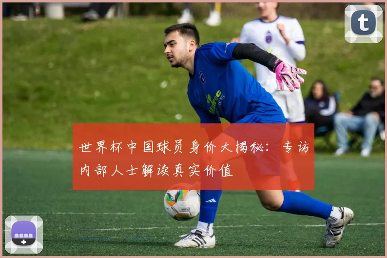 世界杯中国球员身价大揭秘：专访内部人士解读真实价值