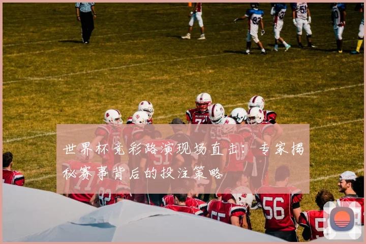 世界杯竞彩路演现场直击：专家揭秘赛事背后的投注策略